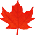 http://www.tc.gc.ca/CLF-NSI/v2-1_04/images/lffl.png